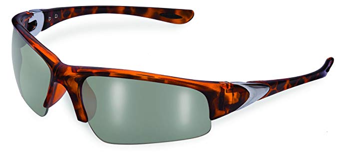 SSP Eyewear 2.50 Bifocal/Reader Safety Glasses with Tortoise Frames and Mirrored Lenses, ENTIAT 2.5 DMI M