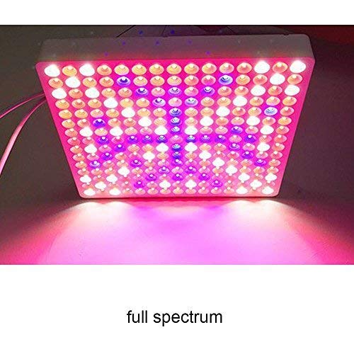 50W LED Grow Light, HillDan New Light Plant Bulbs Plant Growing Bulb for Hydroponic Aquatic Indoor Plants